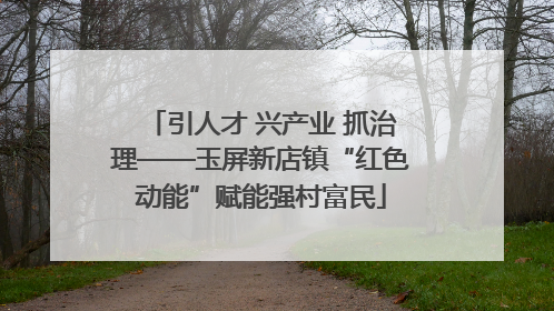 引人才 兴产业 抓治理——玉屏新店镇“红色动能”赋能强村富民