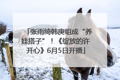张雨绮韩庚组成“养娃搭子”！《绽放的许开心》6月5日开播