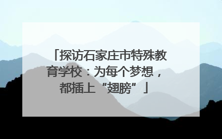 探访石家庄市特殊教育学校：为每个梦想，都插上“翅膀”