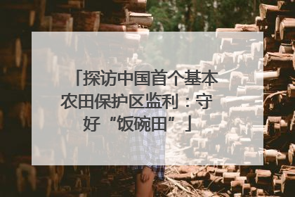 探访中国首个基本农田保护区监利：守好“饭碗田”