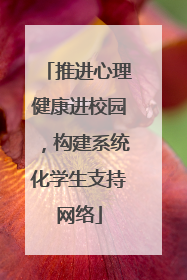 推进心理健康进校园，构建系统化学生支持网络