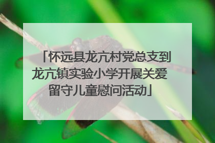 怀远县龙亢村党总支到龙亢镇实验小学开展关爱留守儿童慰问活动
