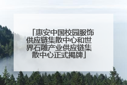 惠安中国校园服饰供应链集散中心和世界石雕产业供应链集散中心正式揭牌