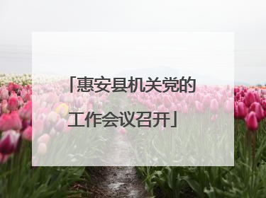 惠安县机关党的工作会议召开
