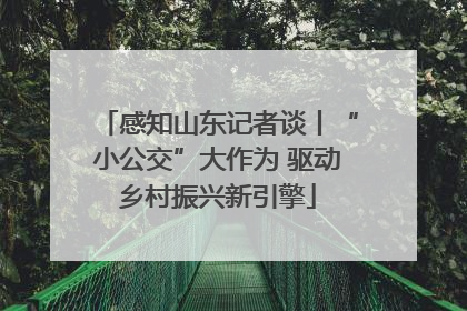 感知山东记者谈丨“小公交”大作为 驱动乡村振兴新引擎
