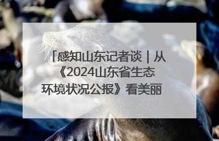 感知山东记者谈｜从《2024山东省生态环境状况公报》看美丽山东建设的“成绩单”与“任务书”