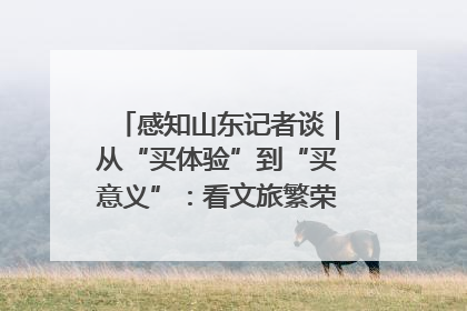 感知山东记者谈｜从“买体验”到“买意义”：看文旅繁荣背后的幸福新定义