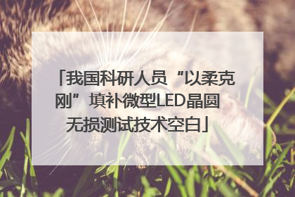 我国科研人员“以柔克刚”填补微型LED晶圆无损测试技术空白