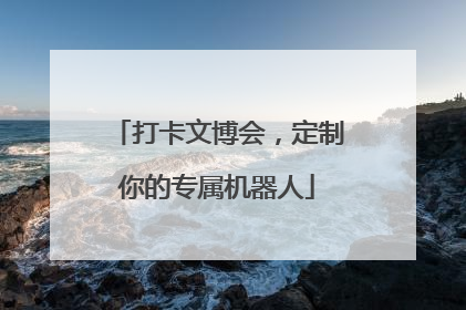 打卡文博会，定制你的专属机器人