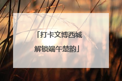 打卡文博西城 解锁端午楚韵