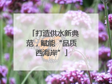 打造供水新典范，赋能“品质西海岸”
