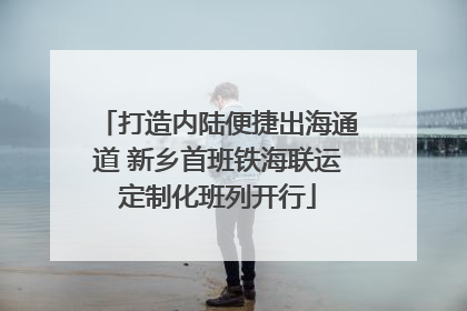 打造内陆便捷出海通道 新乡首班铁海联运定制化班列开行