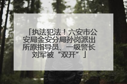 执法犯法！六安市公安局金安分局孙岗派出所原指导员、一级警长刘军被“双开”