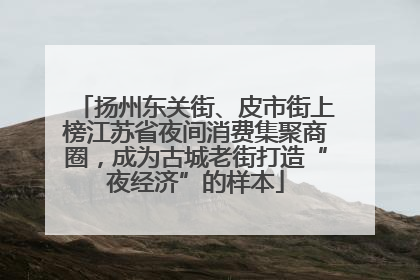 扬州东关街、皮市街上榜江苏省夜间消费集聚商圈，成为古城老街打造“夜经济”的样本