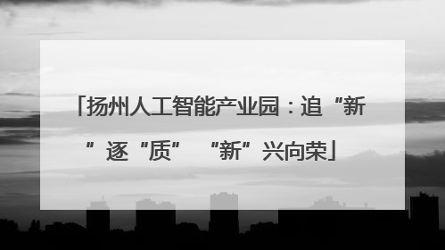 扬州人工智能产业园：追“新”逐“质” “新”兴向荣