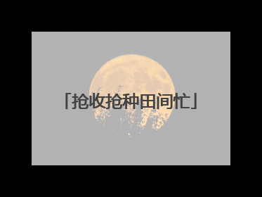 抢收抢种田间忙