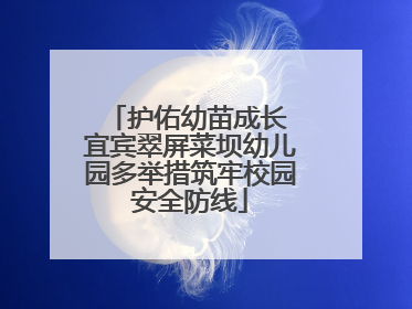 护佑幼苗成长 宜宾翠屏菜坝幼儿园多举措筑牢校园安全防线