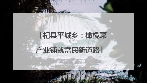 杞县平城乡：橄榄菜产业铺就富民新道路
