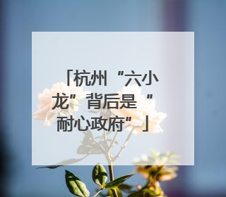 杭州“六小龙”背后是“耐心政府”