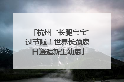 杭州“长腿宝宝”过节啦！世界长颈鹿日邂逅新生幼崽