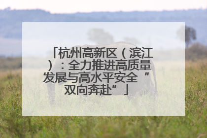 杭州高新区（滨江）：全力推进高质量发展与高水平安全“双向奔赴”