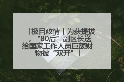 极目政情丨为获提拔，“80后”副区长送给国家工作人员巨额财物被“双开”