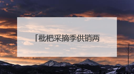 枇杷采摘季供销两旺 四川宝兴晚熟枇杷冷链发全国