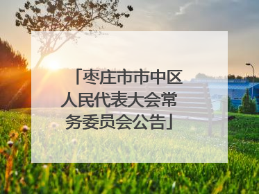 枣庄市市中区人民代表大会常务委员会公告