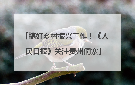 搞好乡村振兴工作！《人民日报》关注贵州侗寨