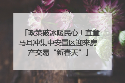 政策破冰暖民心！宜章马耳冲集中安置区迎来房产交易“新春天”