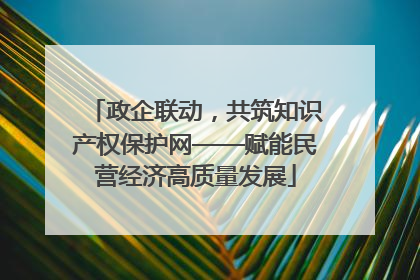 政企联动，共筑知识产权保护网——赋能民营经济高质量发展
