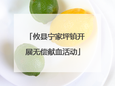 攸县宁家坪镇开展无偿献血活动