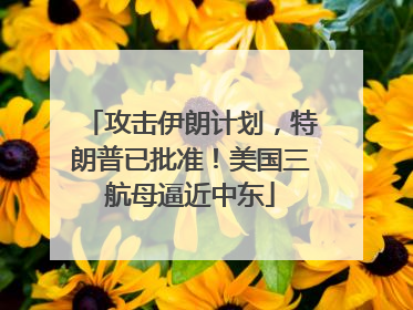 攻击伊朗计划，特朗普已批准！美国三航母逼近中东