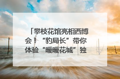 攀枝花馆亮相西博会！“豹局长”带你体验“暖暖花城”独特魅力｜西博视界