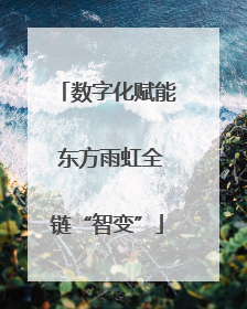 数字化赋能 东方雨虹全链“智变”