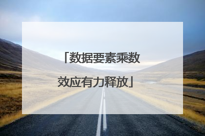 数据要素乘数效应有力释放