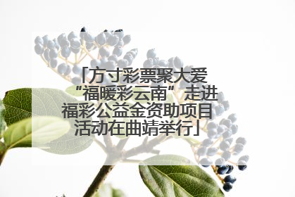 方寸彩票聚大爱 “福暖彩云南”走进福彩公益金资助项目活动在曲靖举行
