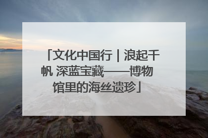 文化中国行｜浪起千帆 深蓝宝藏——博物馆里的海丝遗珍
