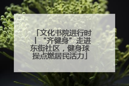 文化书院进行时丨“齐健身”走进东街社区，健身球操点燃居民活力