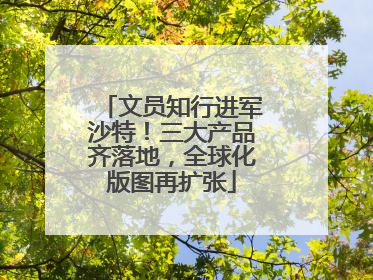 文员知行进军沙特！三大产品齐落地，全球化版图再扩张