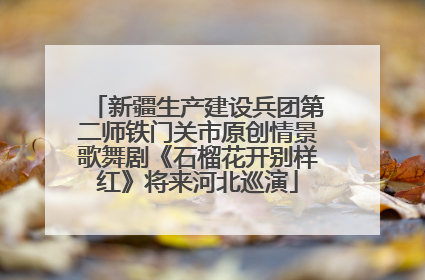新疆生产建设兵团第二师铁门关市原创情景歌舞剧《石榴花开别样红》将来河北巡演