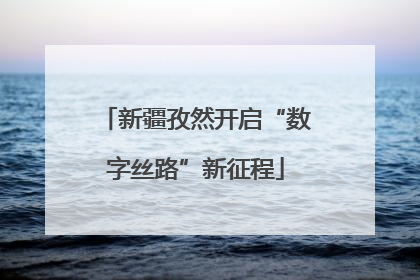 新疆孜然开启“数字丝路”新征程