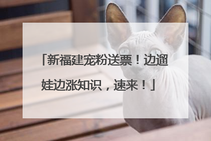 新福建宠粉送票！边遛娃边涨知识，速来！