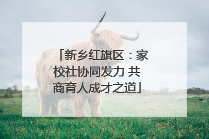 新乡红旗区：家校社协同发力 共商育人成才之道