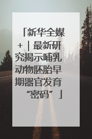 新华全媒+｜最新研究揭示哺乳动物胚胎早期器官发育“密码”