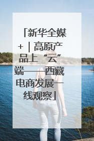 新华全媒+｜高原产品上“云”端——西藏电商发展一线观察