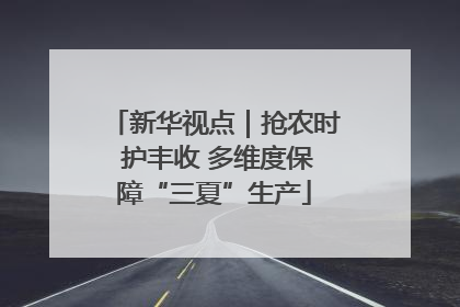 新华视点｜抢农时 护丰收 多维度保障“三夏”生产