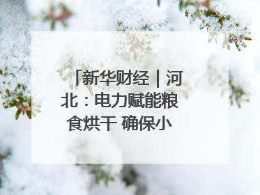 新华财经｜河北：电力赋能粮食烘干 确保小麦高质量归仓