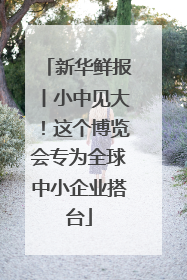 新华鲜报丨小中见大！这个博览会专为全球中小企业搭台
