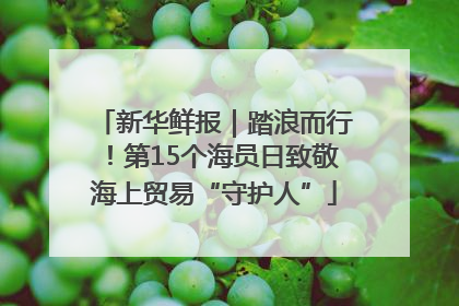 新华鲜报｜踏浪而行！第15个海员日致敬海上贸易“守护人”